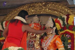 20090707 DSC 0109 CMP WM 01000.jpg