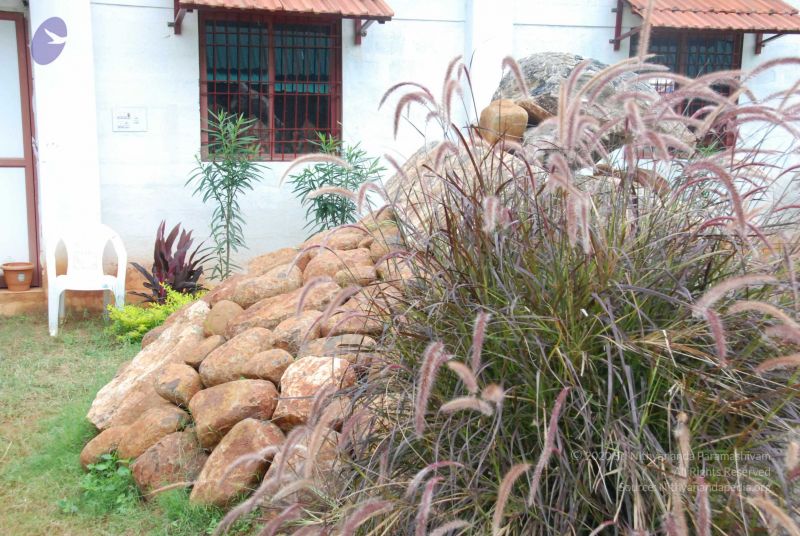 File:20090707 DSC 0113 CMP WM 100.jpg