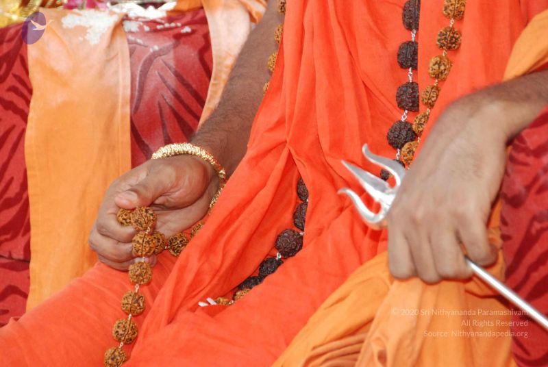 File:20090707 DSC 0119 CMP WM000001.jpg