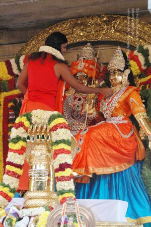 20090707 DSC 0121 CMP WM 01000.jpg