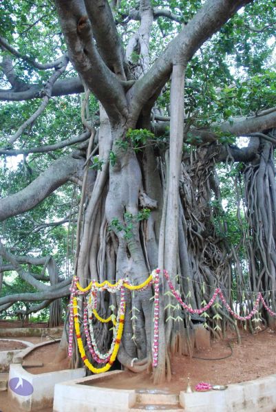 File:20090707 DSC 0141 CMP WM001.jpg