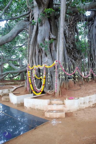 File:20090707 DSC 0143 CMP WM001.jpg