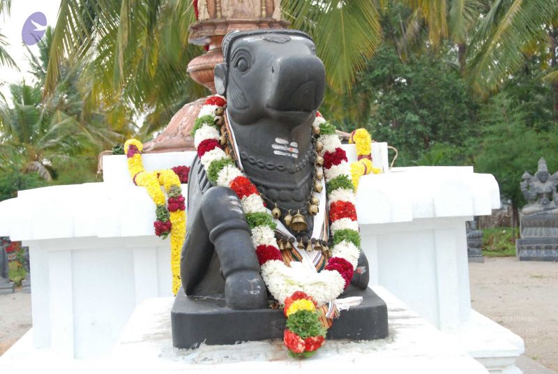 File:20090707 DSC 0160 CMP WM001.jpg