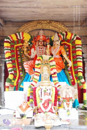 20090707 DSC 0181 CMP WM001.jpg