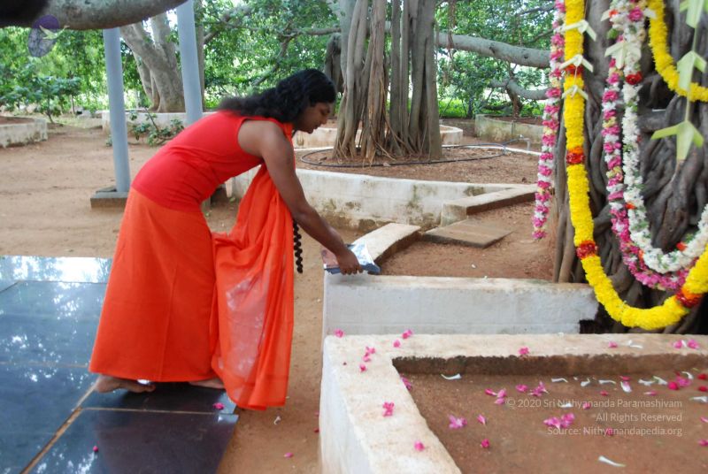 File:20090707 DSC 0264 CMP WM001.jpg