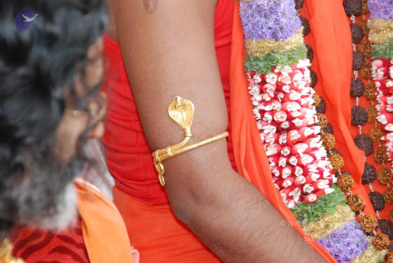 File:20090707 DSC 0330 CMP WM0001.jpg