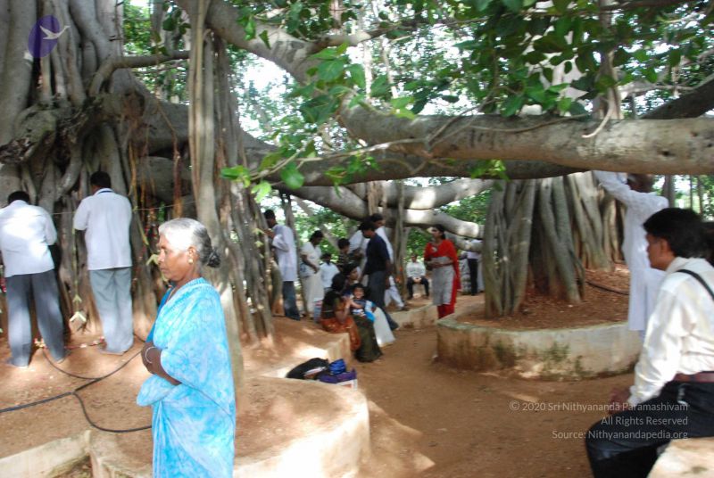 File:20090707 DSC 0433 CMP WM0001.jpg