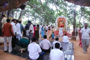 20090707 DSC 0436 CMP WM0001.jpg