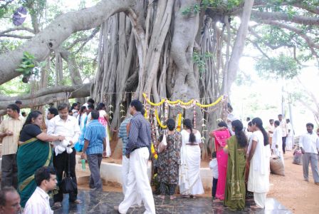 20090707 DSC 0439 CMP WM0001.jpg