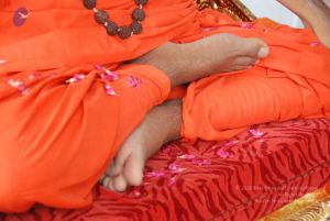 20090707 DSC 0458 CMP WM0001.jpg