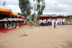 20090707 Photo 1044 1oO9L27409XvABLJ9IkhuQ7AxvV q0lTk.JPG