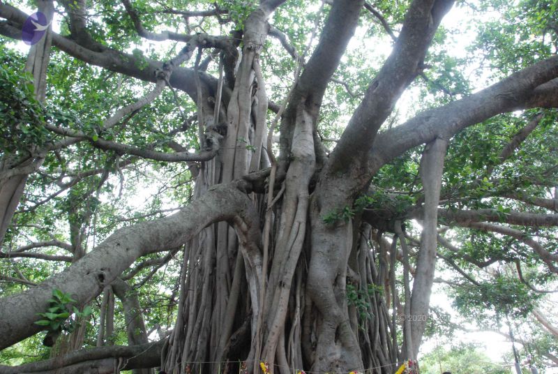 File:20090707 Photo 1104 1fdaxpjb1NcHJLrrSRGxkaC-uV60r9H L.JPG