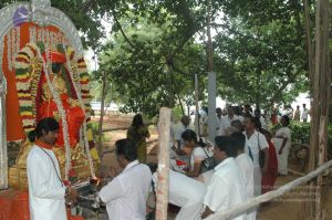 20090707 Photo 1210 1r1gPeKUTo8KsswcXwFUAIbnQ9Rsx0uQq.JPG