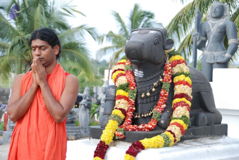 File:20090708 Photo 1181 1UiF5kjrko5KcUIXUuRX4XiuSWmlltB-B.JPG