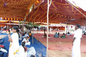 20090708 Photo 1485 14Ww23yLzpvKB G-tzkl3oS32 6OK7Fbd.JPG