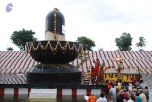 20090708 Photo 1675 1hWd2AVHmzGWSBZK2qWacueq76MK3yIOG.JPG