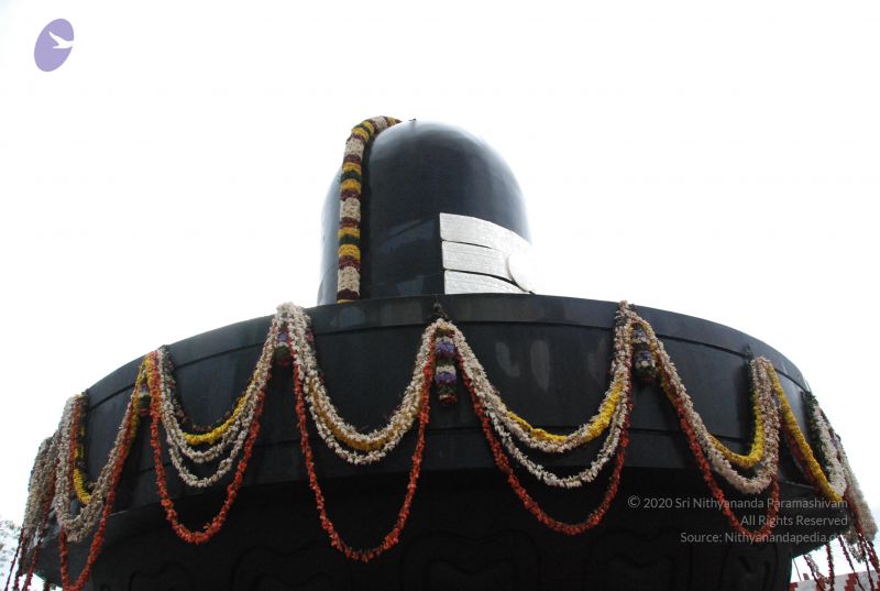 File:20090708 Photo 1692 15PG1n2CFNHi9yh CtoUA1Jqg4YSyJX P.JPG