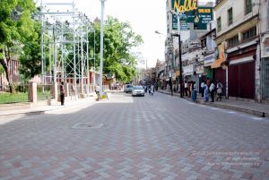 20090713 DSC 0137 CMP WM0011.jpg