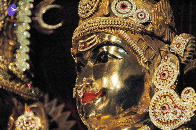 20090713 DSC 0179 CMP WM111.jpg