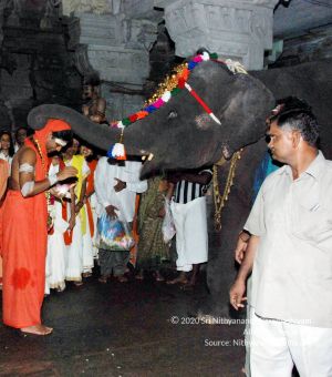 20090713 DSC 0335a CMP WM0011.jpg