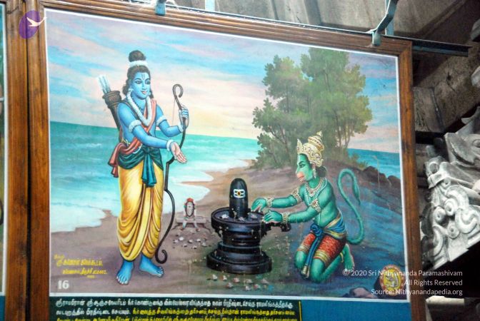 20090713 DSC 0673 CMP WM0011.jpg