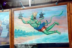 20090713 DSC 0676 CMP WM0011.jpg