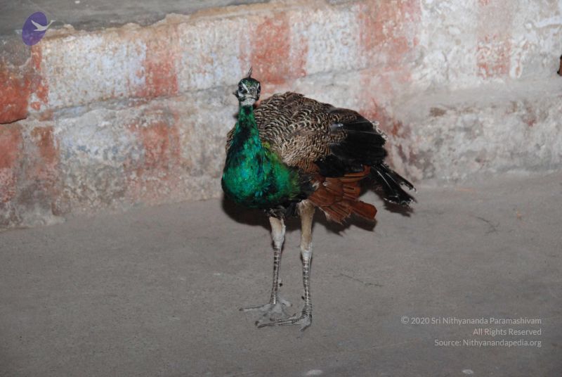 File:20090714 Photo 1054 1hLbZ326hf M6xXD4dIIQLH4kIWByPQeK.JPG