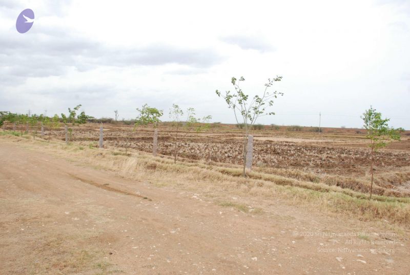 File:20090714 Photo 1129 17ayTd4VmocIQp9raEBlt-nJUw gyzZXE.JPG