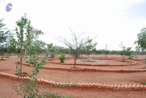 20090714 Photo 1181 10Ke4mkAzCPOIwQY4S8-13m4u5veMZWLl.JPG