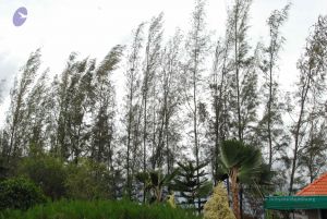 20090715 Photo 1138 1a8mtBOqV2UBVbEYx8R4XmtH8stqCg1RF.JPG