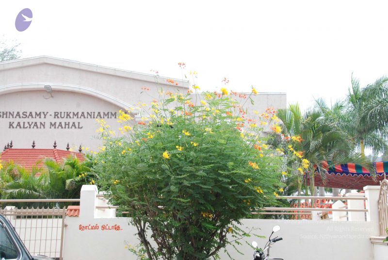 File:20090715 Photo 1143 18b4ldKE4p0rwEUoXZZwfHMSmsjxvWYTa.JPG