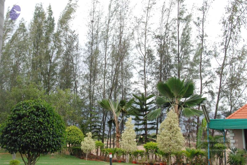 File:20090715 Photo 1160 118uwu0ChbTa7Yl3OC08EU4vY-dXCAWTH.JPG