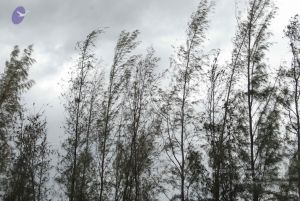 20090715 Photo 1162 14AbcVlg3PZQvlb8CbAemiEMamqNVuYur.JPG