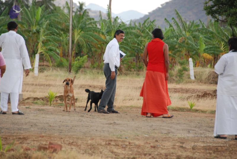 File:20090715 Photo 1236 16nPyrle0zAGb8wlUuSeEq3y3tOD8GNfq.JPG