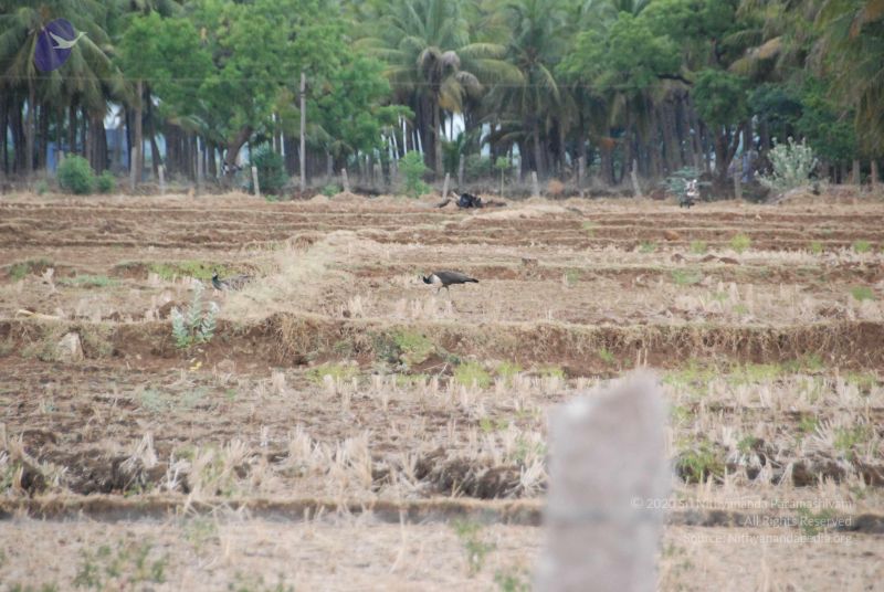 File:20090715 Photo 1249 1ahRbaC0zCdrWCVShqkFmUHoCRIXGKrij.JPG