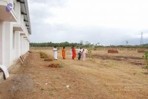 20090715 Photo 1259 1k6VCvWVEuJOLo-8AvnD7SRLEgBa32tI9.JPG