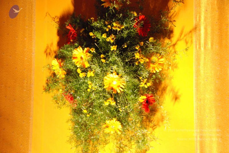 File:20090716 Photo 1131 1Vg6Ug7NtC9bIBH-7NhYuPIwdXowwJfXM.JPG