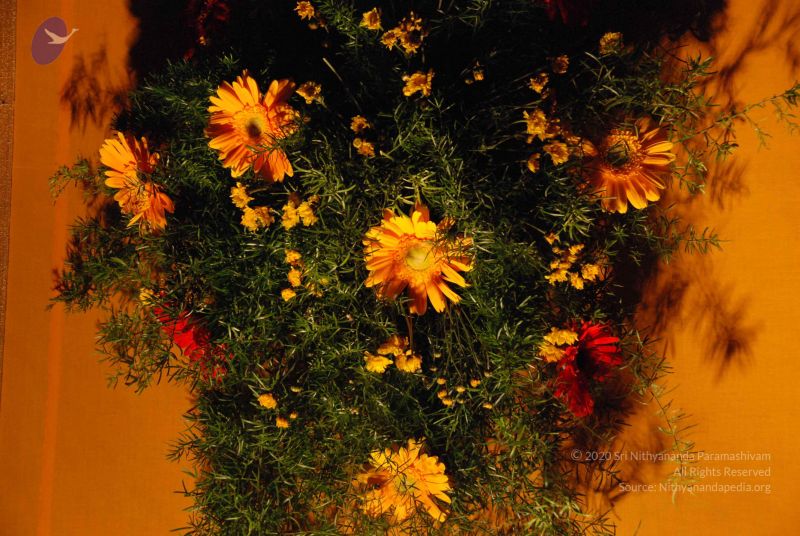 File:20090716 Photo 1132 1QvdTBLcbEuHq1iUNDZisqQH0aqCmu8WN.JPG