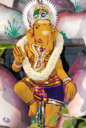 20090717 Photo 1050 1Js2rXAd4NMew3un0Ilifn qP2DGGjSyB.JPG