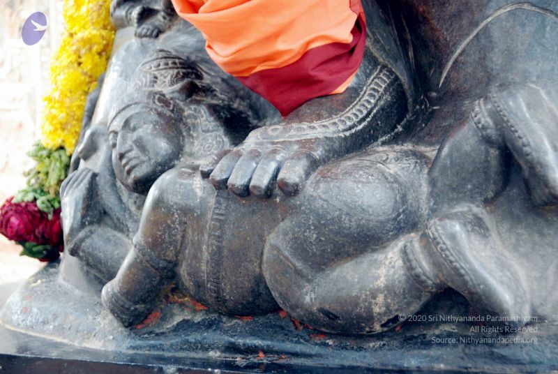 File:20090719 DSC 0287 CMP WM1.jpg