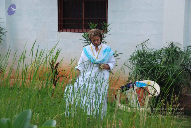 20090720 Photo 1013 1U53cnvGBRRKVv8f-kLY0C RdpfY4M8KH.JPG