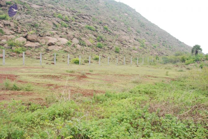 20090730 Photo 1016 1Nin7u-2Hegfdk1P7pQSXtDSTe3cI2fcM.JPG