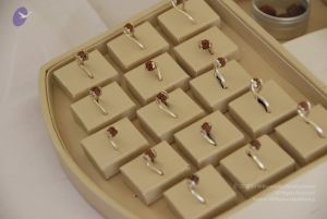 20090730 Photo 1210 12tUnR4maWfimtM8EiErsVw9IhsKtUXZU.JPG