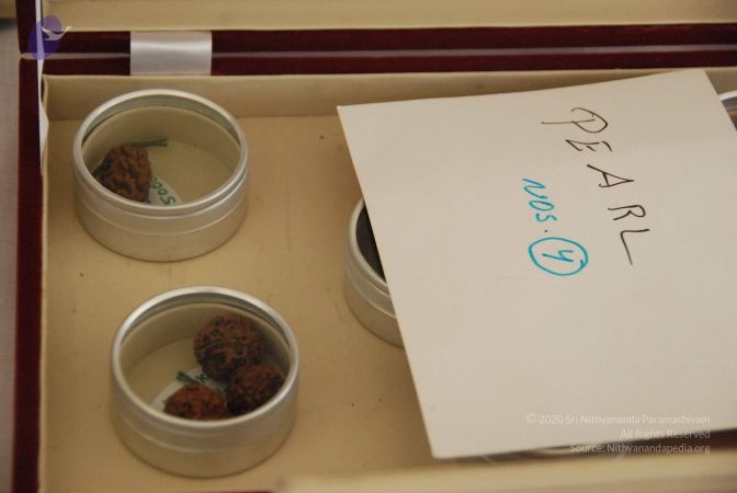 20090730 Photo 1213 1MUSgkb0ipXB1Zcm4J3ST7d54vbSGwCko.JPG