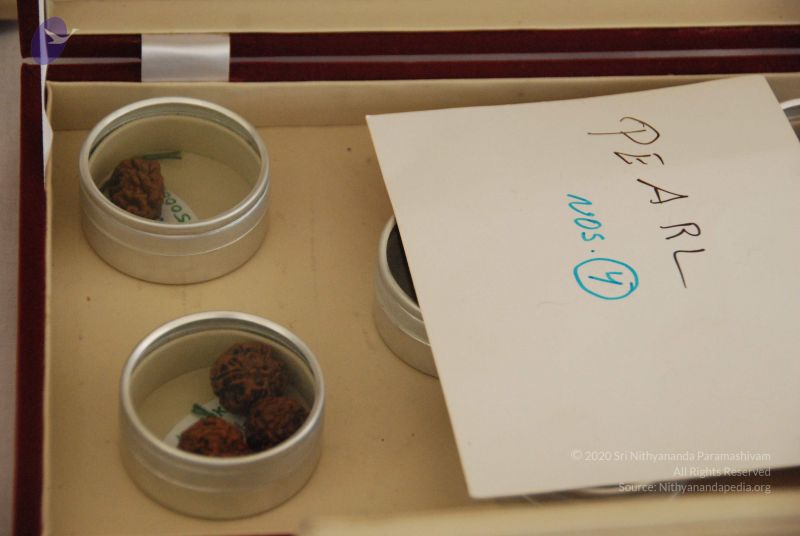 File:20090730 Photo 1213 1MUSgkb0ipXB1Zcm4J3ST7d54vbSGwCko.JPG