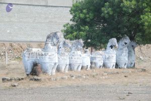 20090731 Photo 1059 1 akLCv-4ZfKC 5qrk5D0Bb22MPeZ2tUC.JPG