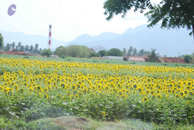 20090731 Photo 1161 1B tJpYElm 7zOX4dMWoPuHX -yo4 4uf.JPG