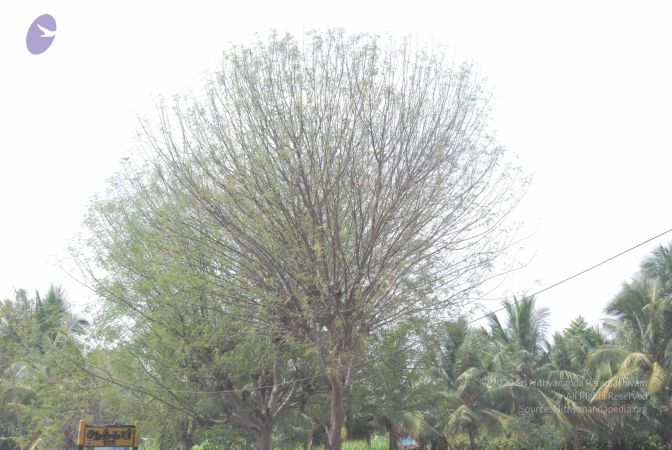 20090731 Photo 1163 1GzwkOhM05ZPnTsV5EmFk5d3HG8N2WeWN.JPG