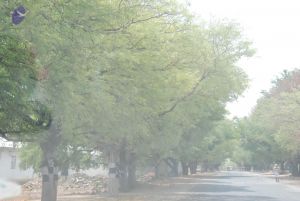 20090731 Photo 1166 1jREHgEv Fo5Qt99Hu6 mLRTDw9vS4cla.JPG