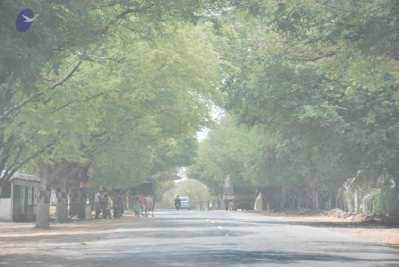 File:20090731 Photo 1168 1 UXsRzEXj8rNr-kHNFslWKOlk4aISIQR.JPG